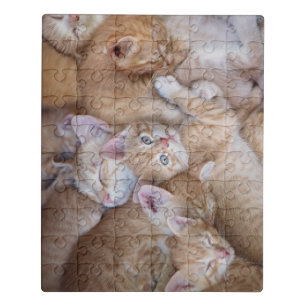 Cutest Baby Animals Orange Kitten Pile Jigsaw Puzzle
