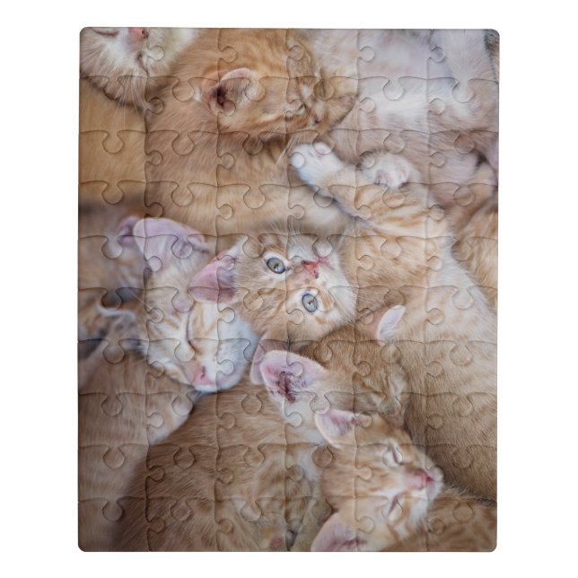 Cutest Baby Animals | Orange Kitten Pile Jigsaw Puzzle (Puzzle Vertical)