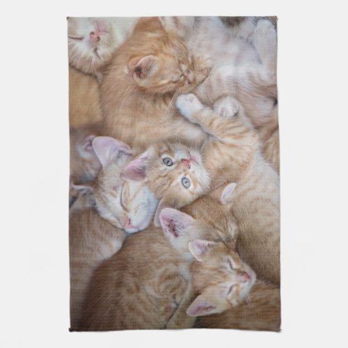 Cutest Baby Animals  Orange Kitten Pile Kitchen Towel