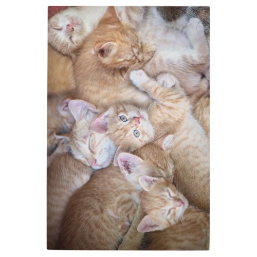 Cutest Baby Animals  Orange Kitten Pile Metal Print