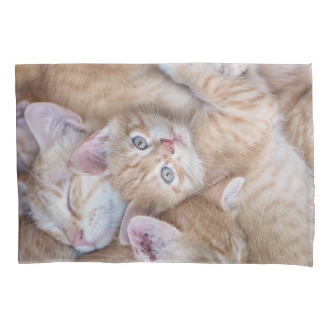 Cutest Baby Animals | Orange Kitten Pile Pillow Case (Front)