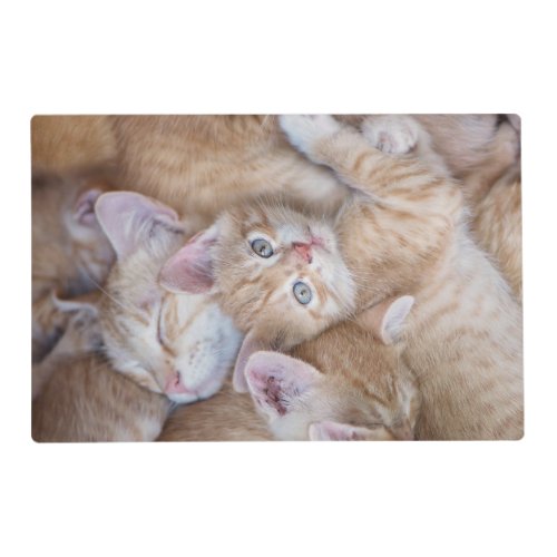 Cutest Baby Animals  Orange Kitten Pile Placemat
