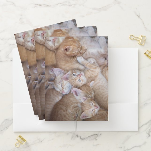 Cutest Baby Animals | Orange Kitten Pile Pocket Folder (In Situ)
