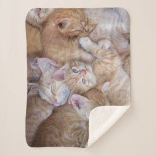 Cutest Baby Animals Orange Kitten Pile Sherpa Blanket