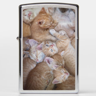 Pet Cat Zippo Lighters & Matchboxes | Zazzle