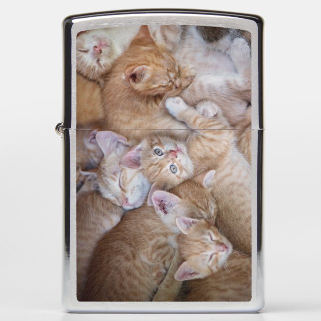 Cutest Baby Animals | Orange Kitten Pile Zippo Lighter (Front)