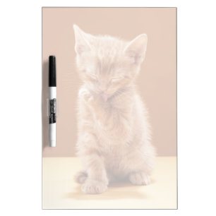 Cutest Baby Animals Orange Tabby Kitten Dry Erase Board