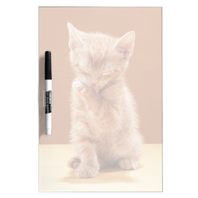 Cutest Baby Animals | Orange Tabby Kitten Dry Erase Board (Front)