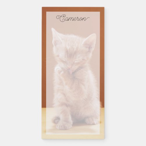 Cutest Baby Animals  Orange Tabby Kitten Magnetic Notepad
