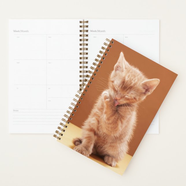 Cutest Baby Animals | Orange Tabby Kitten Planner (Display)