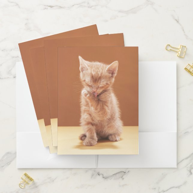Cutest Baby Animals | Orange Tabby Kitten Pocket Folder (In Situ)