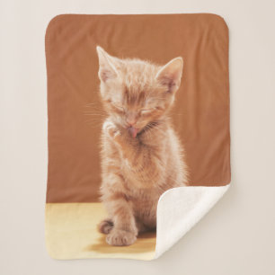 Cutest Baby Animals   Orange Tabby Kitten Sherpa Blanket