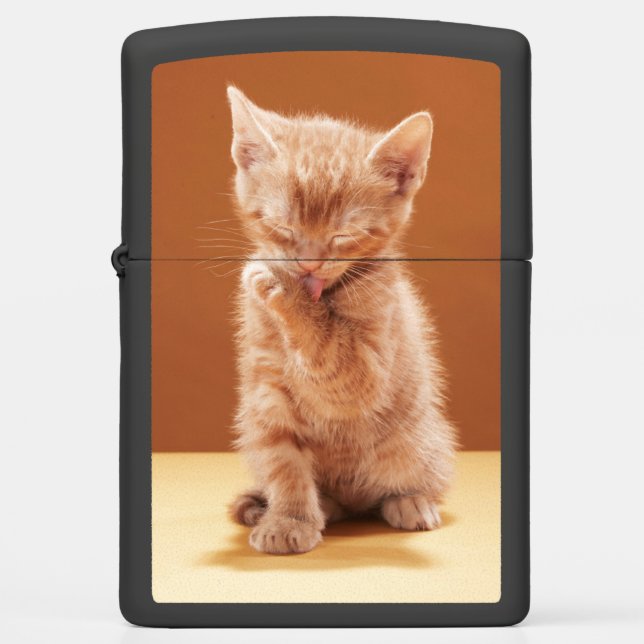 Cutest Baby Animals | Orange Tabby Kitten Zippo Lighter (Front)