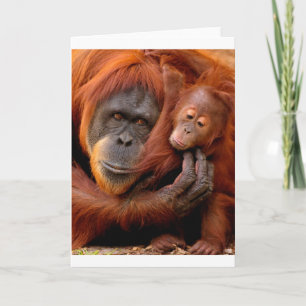 Cutest Baby Animals Orangutan Mom & Baby Card