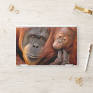 Cutest Baby Animals Orangutan Mom & Baby HP Laptop Skin
