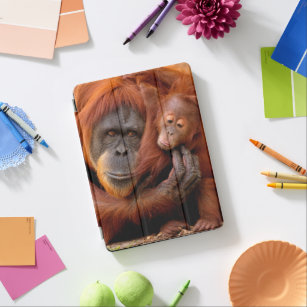 Cutest Baby Animals   Orangutan Mom & Baby iPad Air Cover