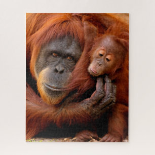 Cutest Baby Animals Orangutan Mom & Baby Jigsaw Puzzle