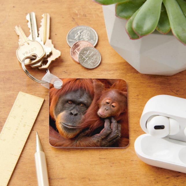 Cutest Baby Animals | Orangutan Mom & Baby Keychain (Desk)