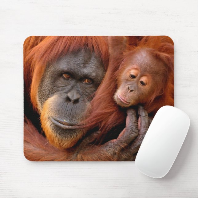 Cutest Baby Animals | Orangutan Mom & Baby Mouse Pad (With Mouse)