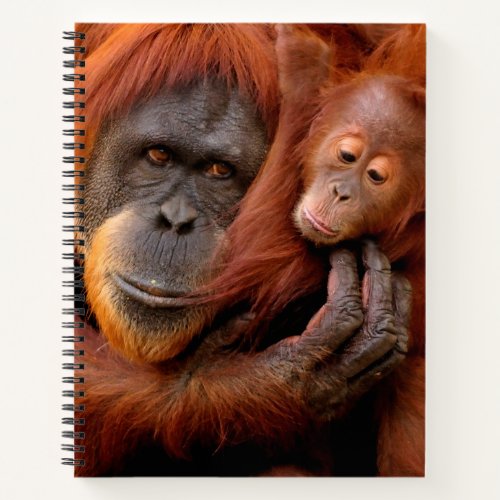 Cutest Baby Animals  Orangutan Mom  Baby Notebook