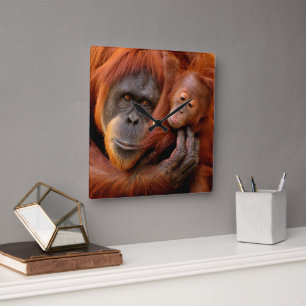 Cutest Baby Animals Orangutan Mom & Baby Square Wall Clock