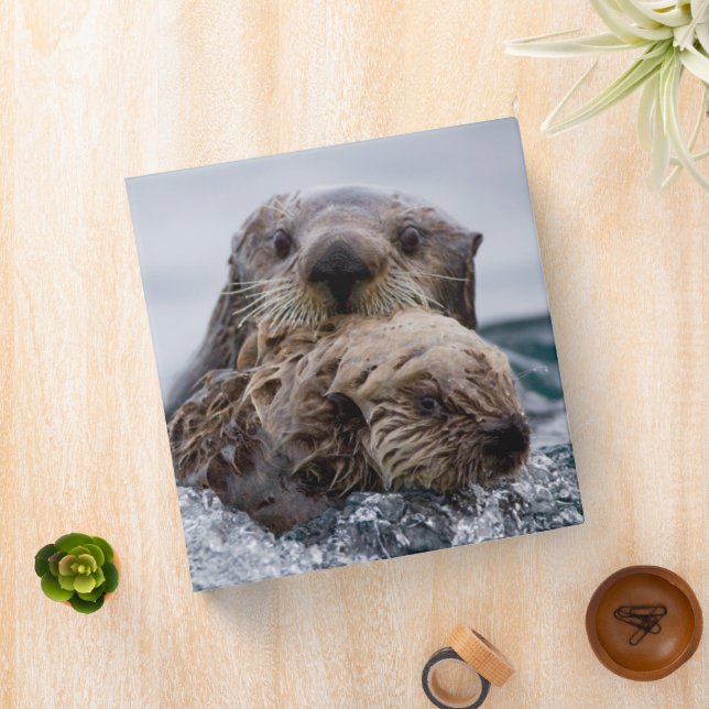 Cutest Baby Animals | Otter Baby & Mother 3 Ring Binder (In Situ)