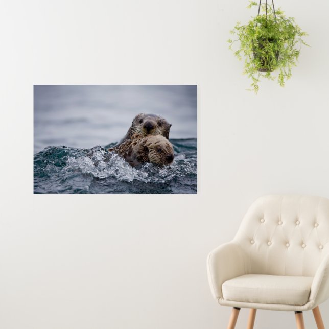 Cutest Baby Animals | Otter Baby & Mother Foam Board (In Situ (Wall))