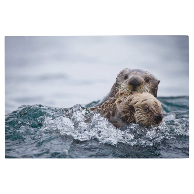 Cutest Baby Animals | Otter Baby & Mother Metal Print (Front)