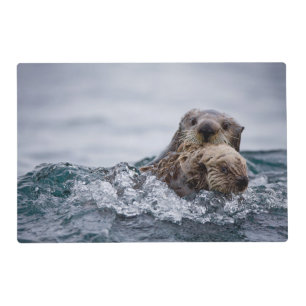 Cutest Baby Animals   Otter Baby & Mother Placemat