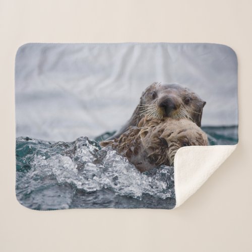 Cutest Baby Animals  Otter Baby  Mother Sherpa Blanket