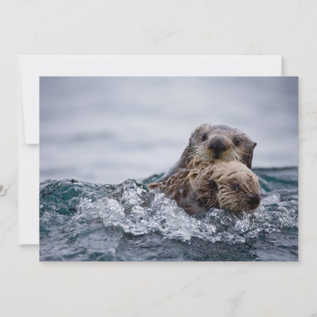 Cutest Baby Animals | Otter Baby & Mother Thank You Card (Front)