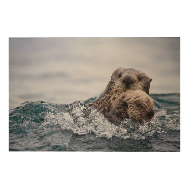 Cutest Baby Animals | Otter Baby & Mother Wood Wall Art (Front)