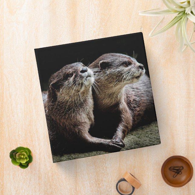 Cutest Baby Animals | Otters Holding Hands 3 Ring Binder (In Situ)