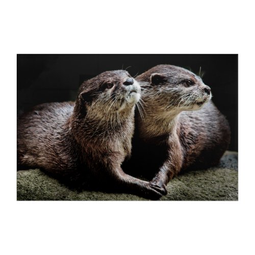 Cutest Baby Animals  Otters Holding Hands Acrylic Print