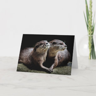 Cutest Baby Animals   Otters Holding Hands Card