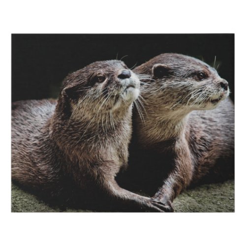 Cutest Baby Animals  Otters Holding Hands Faux Canvas Print