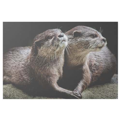 Cutest Baby Animals  Otters Holding Hands Gallery Wrap