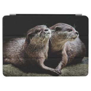 Cutest Baby Animals   Otters Holding Hands iPad Air Cover