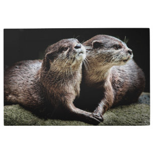 Cutest Baby Animals Otters Holding Hands Metal Print
