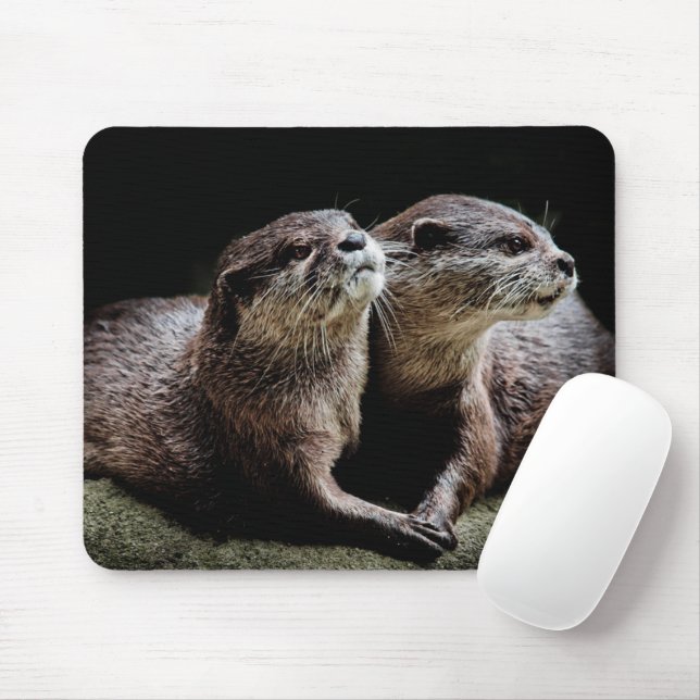 Cutest Baby Animals | Otters Holding Hands Mouse Pad (With Mouse)