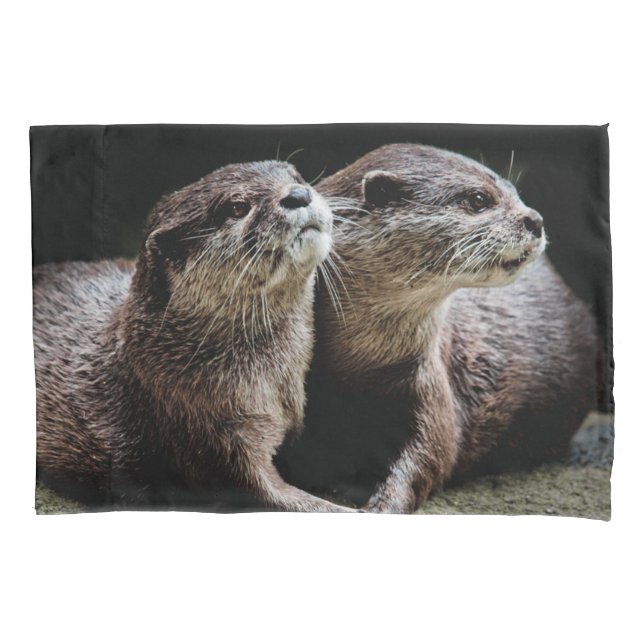 Cutest Baby Animals | Otters Holding Hands Pillow Case (Front)