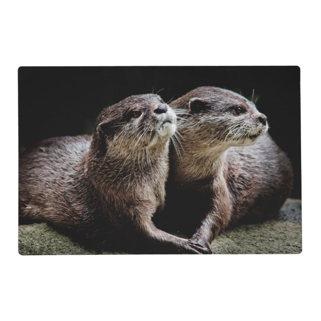 Cutest Baby Animals | Otters Holding Hands Placemat (Front)