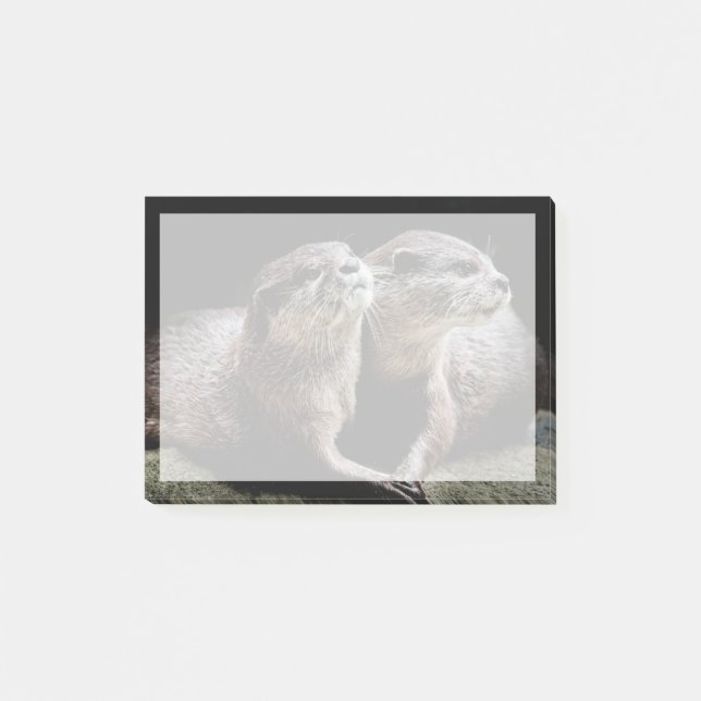 Cutest Baby Animals | Otters Holding Hands Post-it Notes (Front)