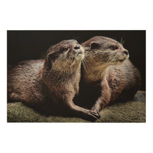 Cutest Baby Animals  Otters Holding Hands Wood Wall Art