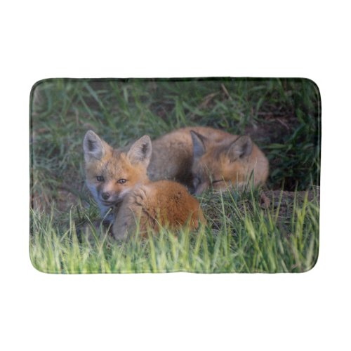 Cutest Baby Animals  Pair of Red Fox Kit Siblings Bath Mat