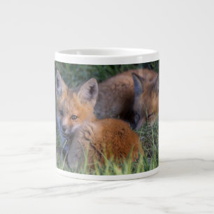 Cutest Baby Animals   Pair of Red Fox Kit Siblings Giant Coffee Mug