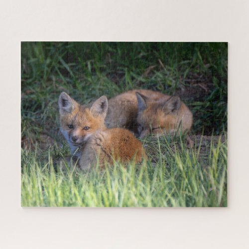 Cutest Baby Animals  Pair of Red Fox Kit Siblings Jigsaw Puzzle
