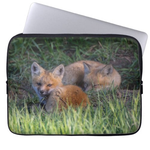 Cutest Baby Animals  Pair of Red Fox Kit Siblings Laptop Sleeve
