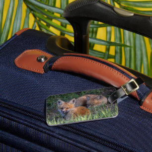 Cutest Baby Animals   Pair of Red Fox Kit Siblings Luggage Tag