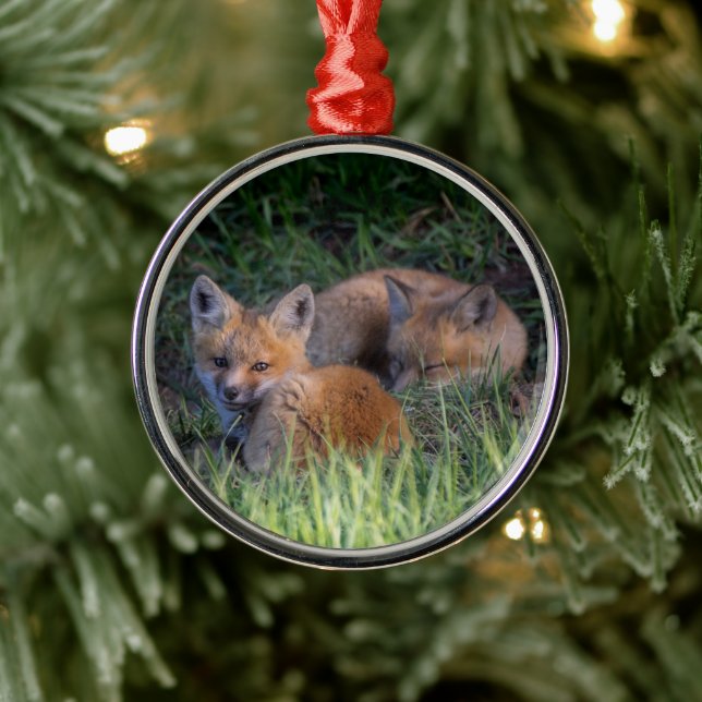 Cutest Baby Animals | Pair of Red Fox Kit Siblings Metal Ornament (Tree)